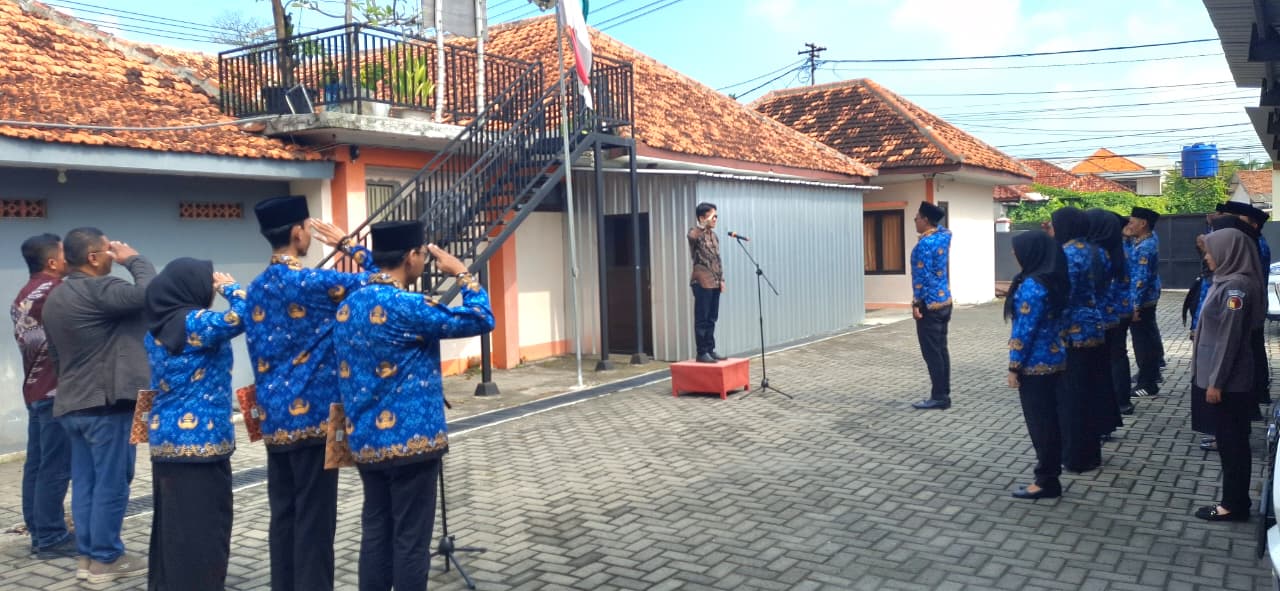 jpg